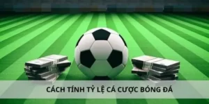 Khám Phá Thế Giới Bóng Đá MU88: Đam Mê Và Cơ Hội