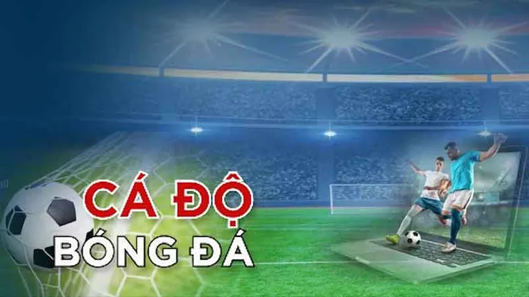 Khám Phá Thế Giới Bóng Đá 69VN: Đỉnh Cao Giải Trí Thể Thao